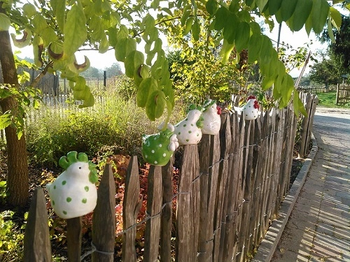 Hühner als Zaunhocker für Staketenzaun.