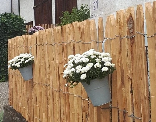Blumen am Staketenzaun dekorieren den schönen Holzzaun.