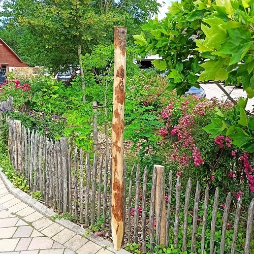 Pfahl aus Kastanienholz