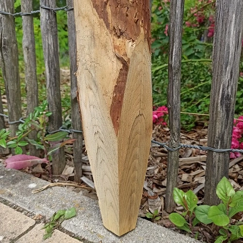 Kastanienpfahl mit Spitze