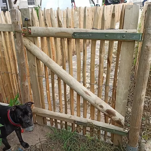 Staketenzaun mit Tor für Hunde.