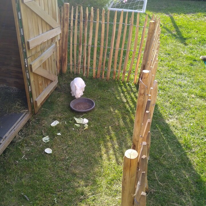 Staketenzaun für Hasen und Kaninchen