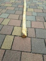 Zaunpfahl Kastanie Höhe 150 cm rund Durchmesser 4-6cm mit Spitze