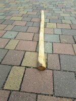 Zaunpfahl Kastanie Höhe 150 cm rund Durchmesser 4-6cm mit Spitze