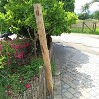 Zaunpfahl Kastanie Höhe 170-180 cm rund, z.B....