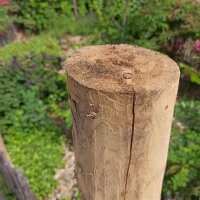 Zaunpfahl Kastanie Höhe 170-180 cm rund, z.B. Torpfahl, Durchmesser 10-12cm mit Spitze