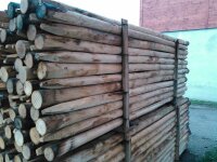 Stammware Kastanie Länge 200 cm rund Durchmesser ca...