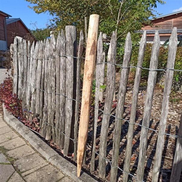 Zaunpfahl Kastanie Höhe 80 cm rund Durchmesser 4-6cm mit Spitze