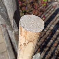 Zaunpfahl Kastanie Höhe 80 cm rund Durchmesser 4-6cm mit Spitze