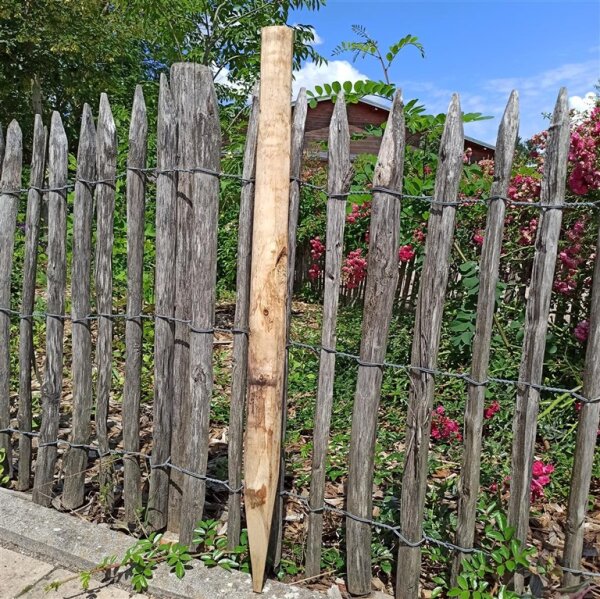 Zaunpfahl Kastanie Höhe 75-80 cm rund zu Zaun Höhe 40 cm Durchmesser ca 5-7cm mit Spitze