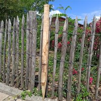 Zaunpfahl Kastanie Höhe 75-80 cm rund zu Zaun...