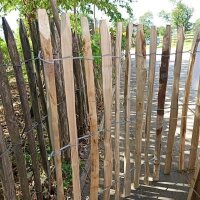 Proline Staketenzaun Kastanie 4-6cm Lattabstand 80cm Höhe 7m Länge