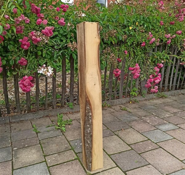 Vierkantpfosten Kastanie 75cm 8x8