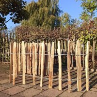 Proline Staketenzaun Kastanie 8-10cm Lattabstand 50cm Höhe 2m Länge