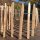 Proline Staketenzaun Kastanie 8-10cm Lattabstand 50cm Höhe 3m Länge