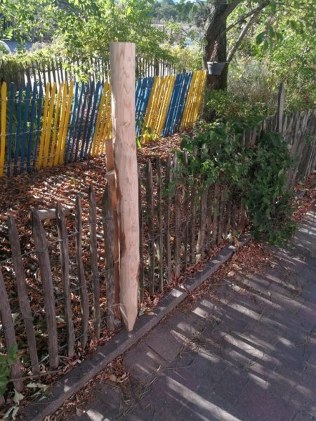 Zaunpfahl Kastanie Höhe 120 cm rund zu Zaun Höhe 80 cm Durchmesser ca 8-10cm mit Spitze