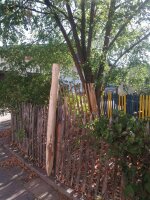 Zaunpfahl Kastanie Höhe 120 cm rund zu Zaun Höhe 80 cm Durchmesser ca 8-10cm mit Spitze