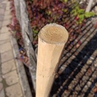 Zaunpfahl Kastanie Höhe 100 cm rund Durchmesser 4-6cm mit Spitze