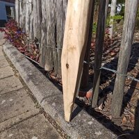 Zaunpfahl Kastanie Höhe 100 cm rund Durchmesser 4-6cm mit Spitze