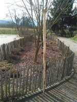 Zaunpfahl Kastanie Höhe 200 cm rund zu Zaun Höhe 150 cm Durchmesser ca 5-7cm mit Spitze