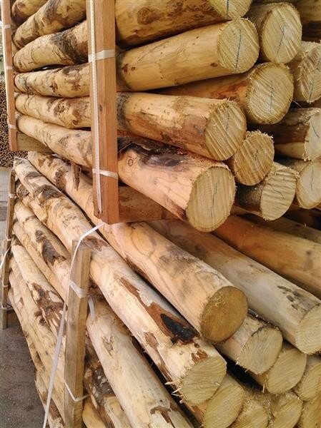 Zaunpfahl Kastanie Höhe 225 cm rund, z.B. Torpfahl, Durchmesser 10-12cm mit Spitze