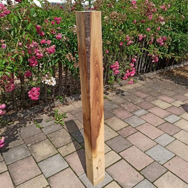 Vierkantpfosten Kastanie 100cm 8x8