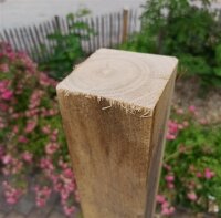 Vierkantpfosten Kastanie 200cm 8x8