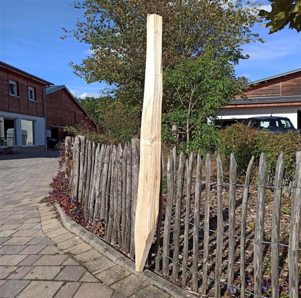Spaltpfahl Kastanie Höhe 150cm, Umfang 26/32, mit Spitze, angegraut