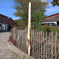 Spaltpfahl Kastanie Höhe 150cm, Umfang 26/32, mit Spitze, angegraut