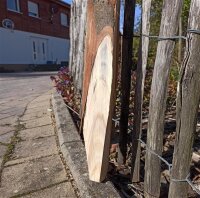 Spaltpfahl Kastanie Höhe 150cm, Umfang 26/32, mit Spitze, angegraut