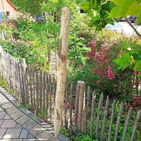 Pfosten aus Kastanie Einschlagpfosten rund 150cm lang 8-10cm Ø