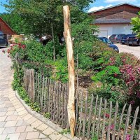 Pfosten aus Kastanie Einschlagpfosten rund 200cm lang 8-10cm Ø