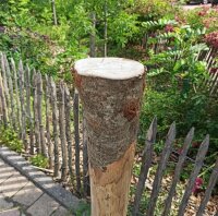 Pfosten aus Kastanie Rundholz 120cm lang 8cm Ø