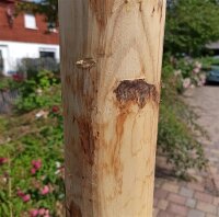 Pfosten aus Kastanie Rundholz 200cm lang 8cm Ø