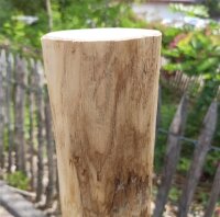 Pfosten aus Kastanie Rundholz mit Aufschraubbodenhülse 100cm lang 8cm Ø