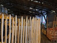 Kastanie Staketenzaun Dolomit 193/200 cm hoch, 5m-Rolle,...