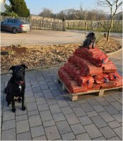 Anfeuerholz im Großpack, 10 Säcke zu je 35...