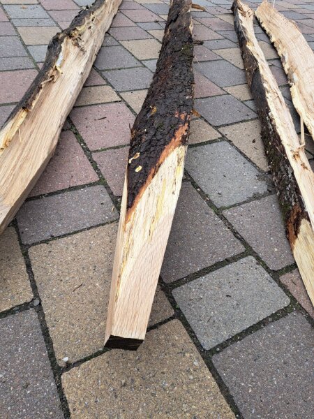 NEU Budget-Spaltpfahl Eiche mit Rinde Höhe 150cm, Umfang 26/32, mit Spitze
