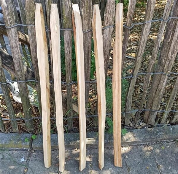 Kastanie Stakete 80 cm hoch