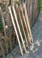 Kastanie Stakete 80 cm hoch