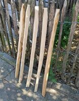 Kastanie Stakete 80 cm hoch