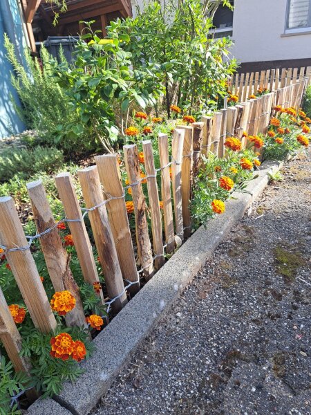2-4cm Lattabstand